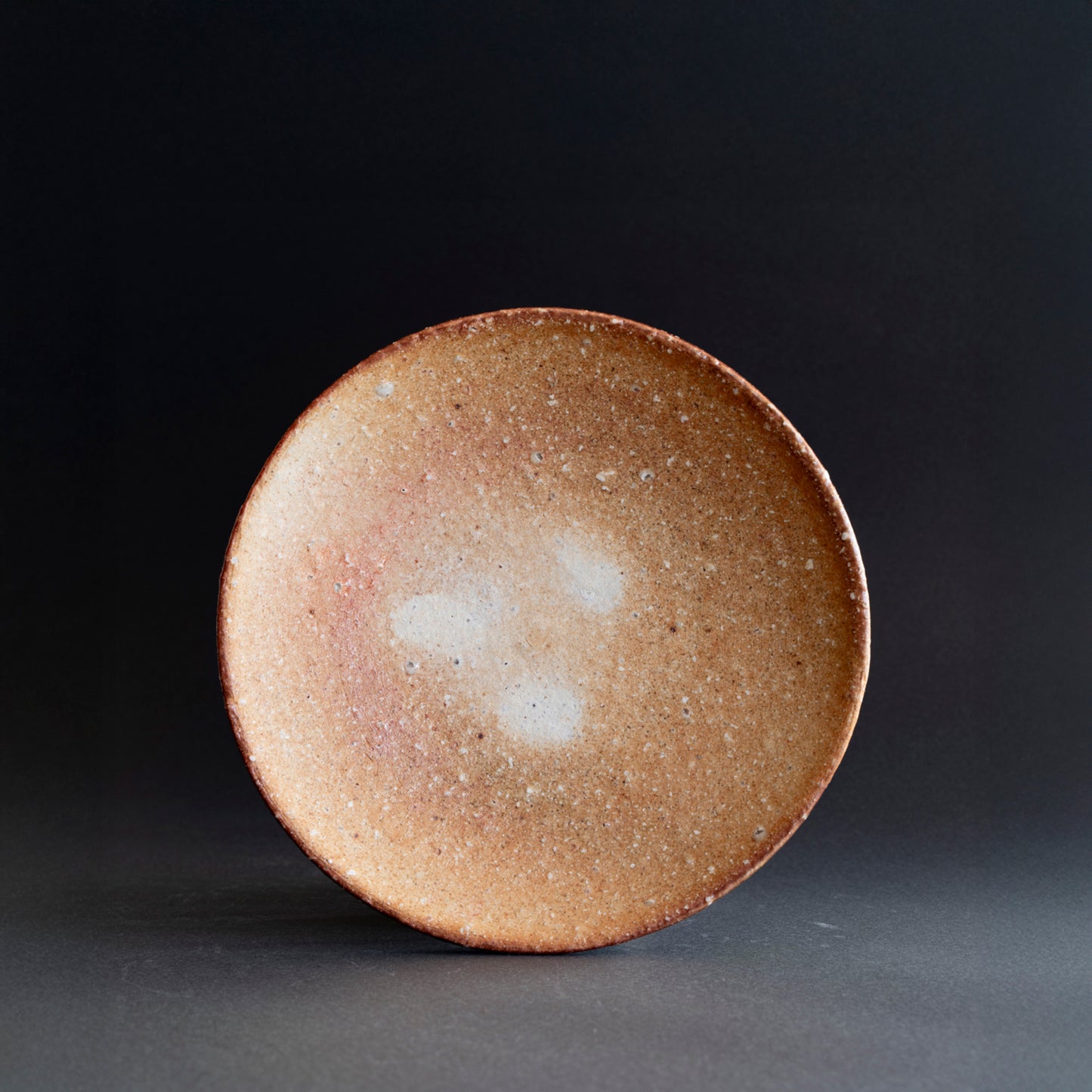 Shigaraki Round Shallow Bowl