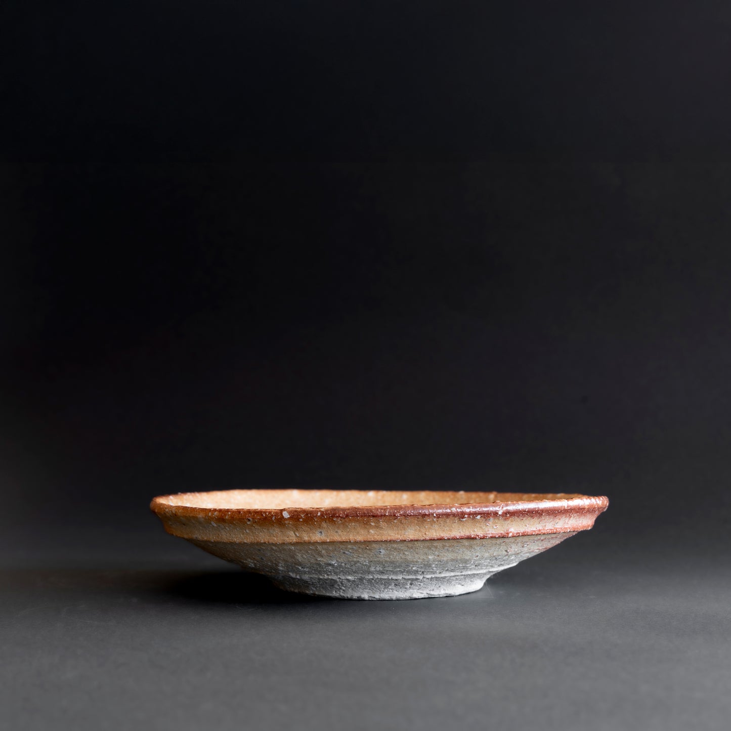 Shigaraki Round Shallow Bowl
