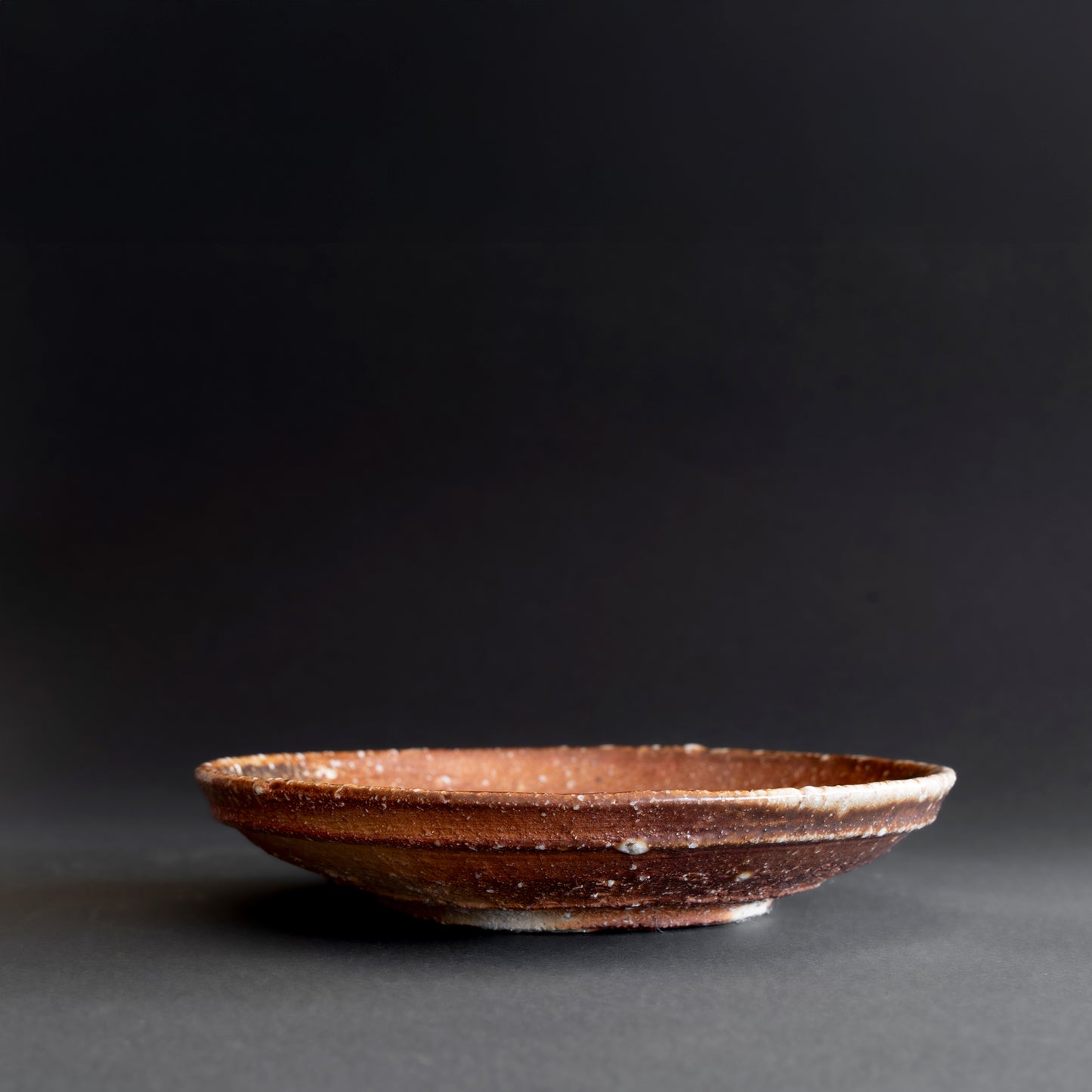 Shigaraki Round Shallow Bowl