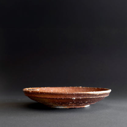 Shigaraki Round Shallow Bowl