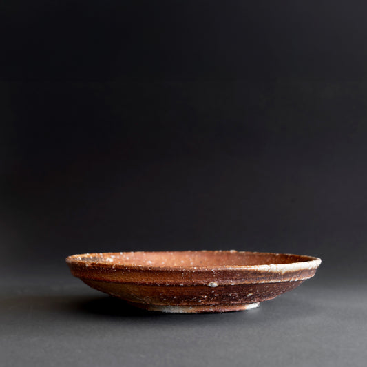 Shigaraki Round Shallow Bowl