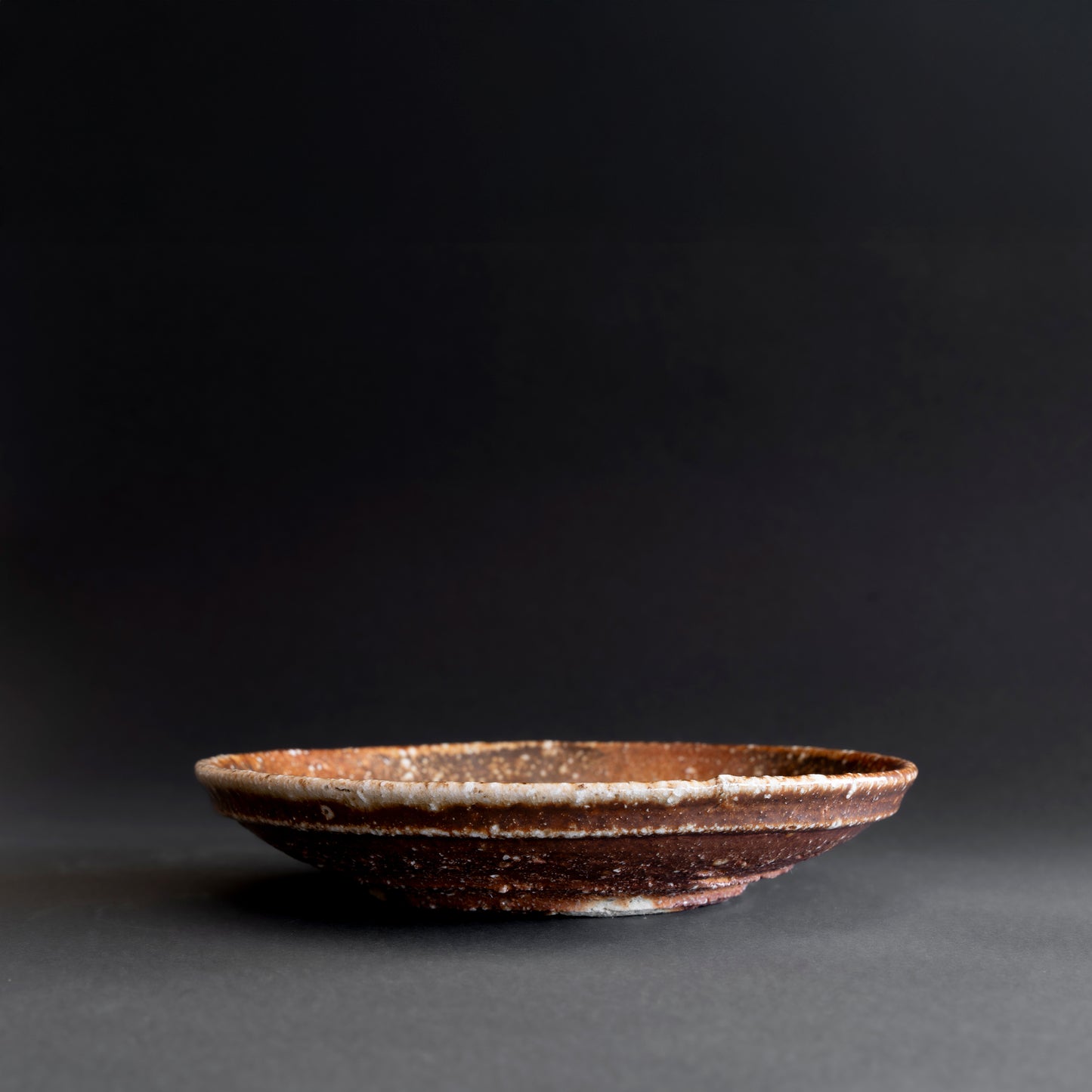 Shigaraki Round Shallow Bowl