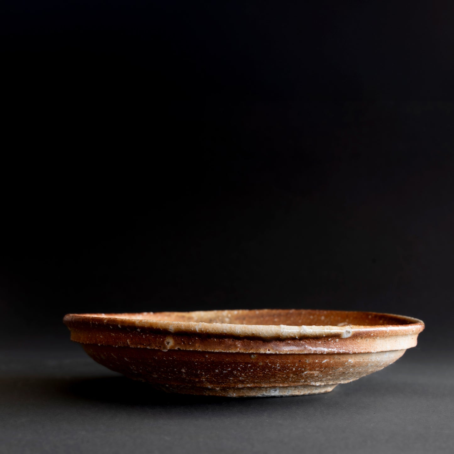Shigaraki Round Shallow Bowl