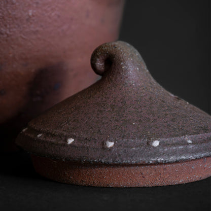 Nanban Teapot with Feldspar Granules