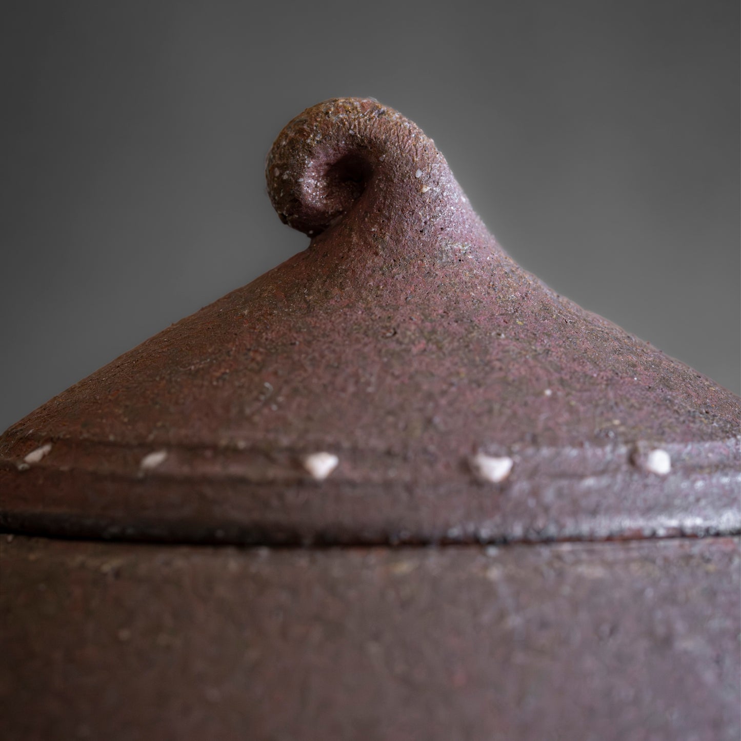 Nanban Teapot with Feldspar Granules
