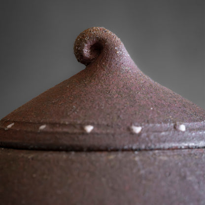 Nanban Teapot with Feldspar Granules