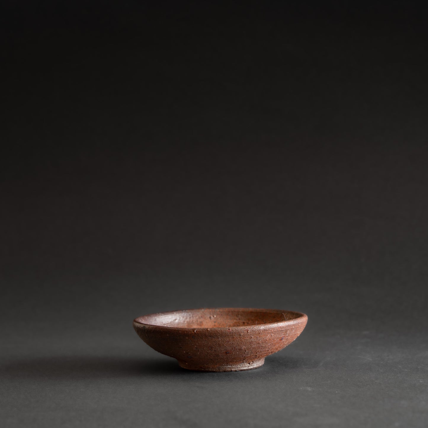 Nanban Sauce Plate