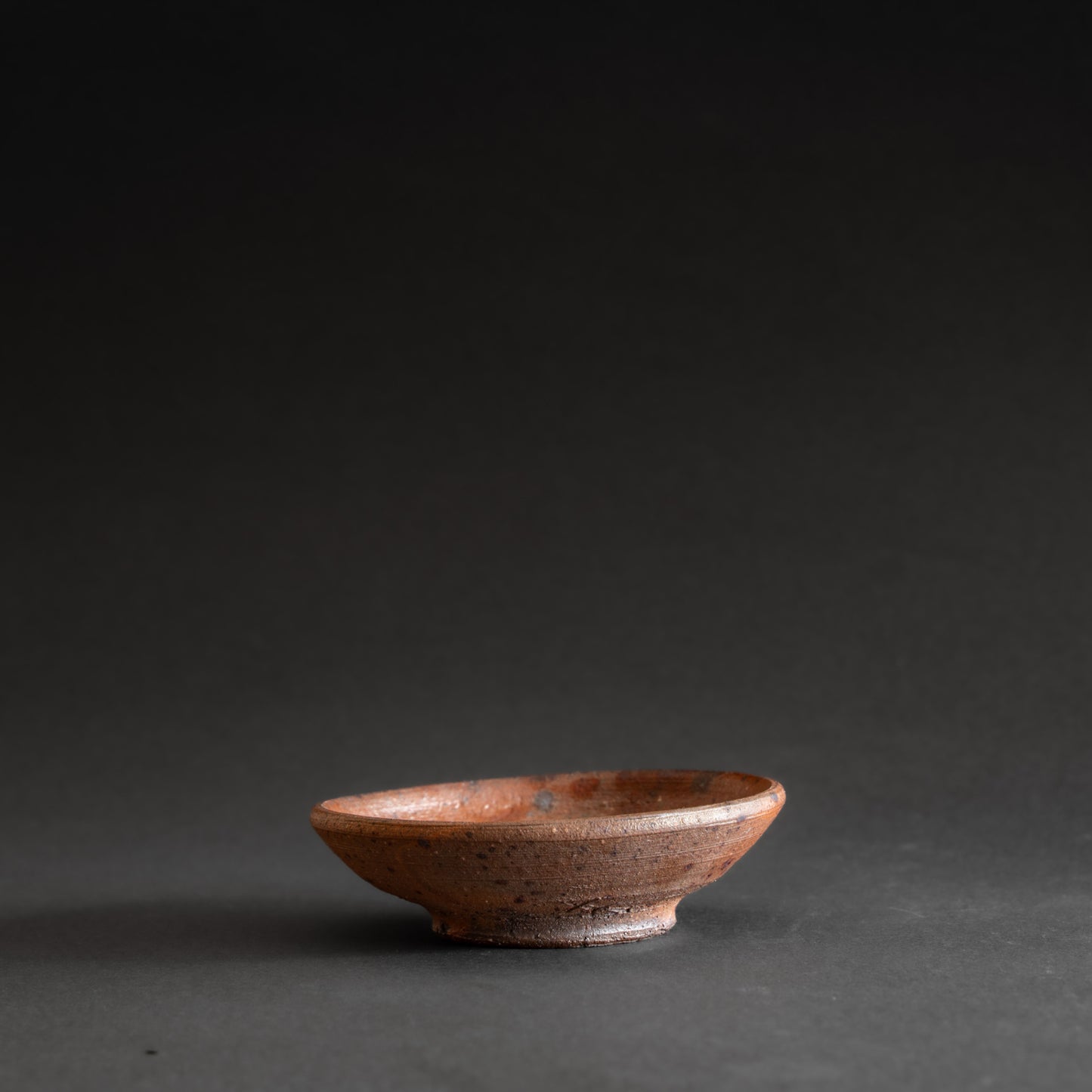 Nanban Sauce Plate